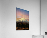 1385 Acrylic Print