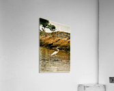 1395 Acrylic Print