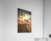 1397 Acrylic Print