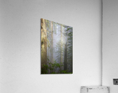 1401 Acrylic Print
