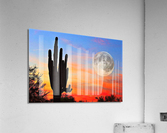 1405 Acrylic Print