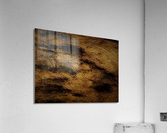 1435 Acrylic Print