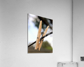 1456 Acrylic Print
