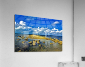 1460 Acrylic Print