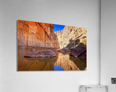 1463 Acrylic Print