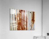 1464 Acrylic Print