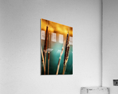1471 Acrylic Print