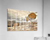 1476 Acrylic Print