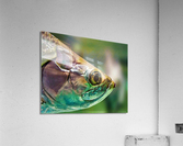 1499 Acrylic Print
