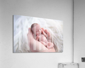 1504 Acrylic Print