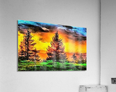 1529 Acrylic Print