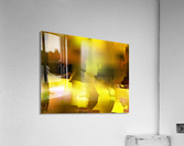 1530 Acrylic Print