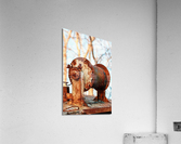 1548 Acrylic Print