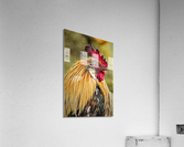 1554 Acrylic Print