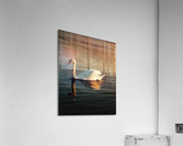 1561 Acrylic Print