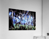1568 Acrylic Print