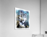 1571 Acrylic Print