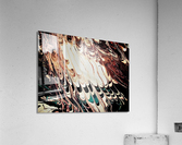 1616 Acrylic Print