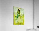 1620 Acrylic Print