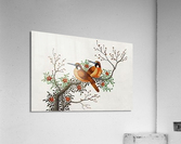 1661 Acrylic Print