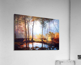 1668 Acrylic Print