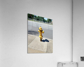 1673 Acrylic Print