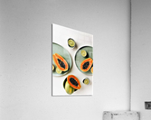 1684 Acrylic Print