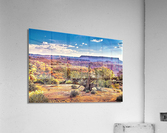 1697 Acrylic Print