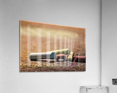 1701 Acrylic Print