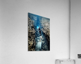 1713 Acrylic Print