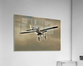 1715 Acrylic Print
