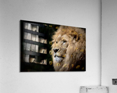 1738 Acrylic Print