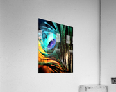 1749 Acrylic Print