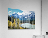 1759 Acrylic Print