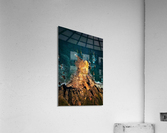 1763 Acrylic Print