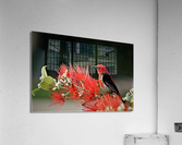 1785 Acrylic Print
