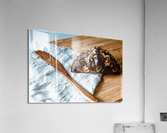 1788 Acrylic Print