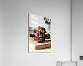 1804 Acrylic Print