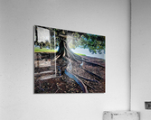 1805 Acrylic Print