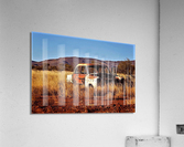 1809 Acrylic Print