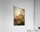 1857 Acrylic Print