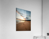 1871 Acrylic Print