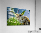 1878 Acrylic Print