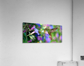 1902 Acrylic Print