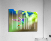 1922 Acrylic Print