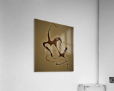 2006 Acrylic Print