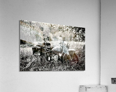 2009 Acrylic Print