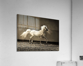2028 Acrylic Print