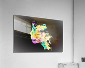 2047 Acrylic Print