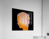 2053 Acrylic Print